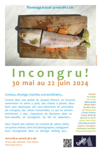 Exposition Incongru! mai-Juin 2024